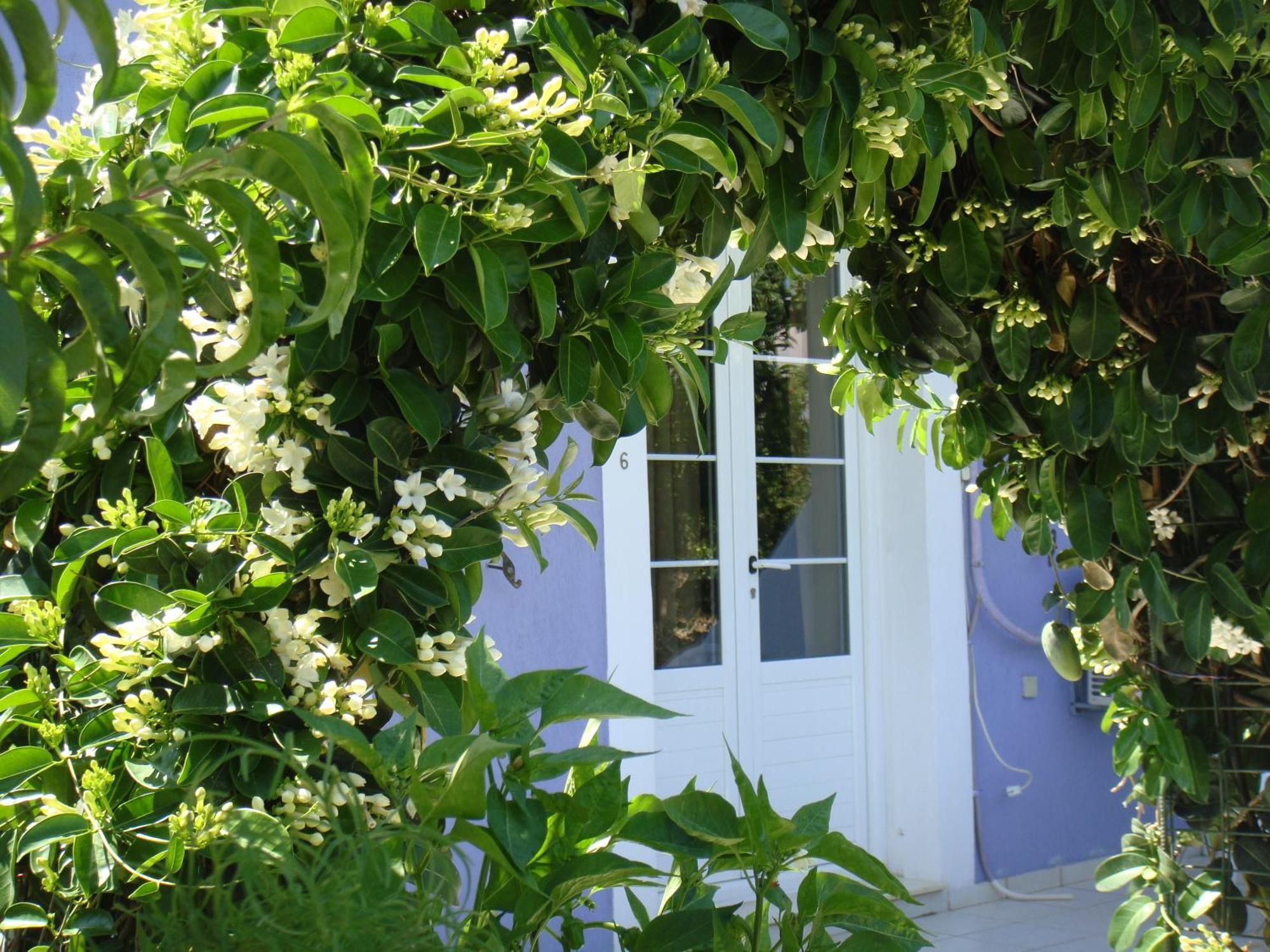 Villa Eliza Skala  Luaran gambar