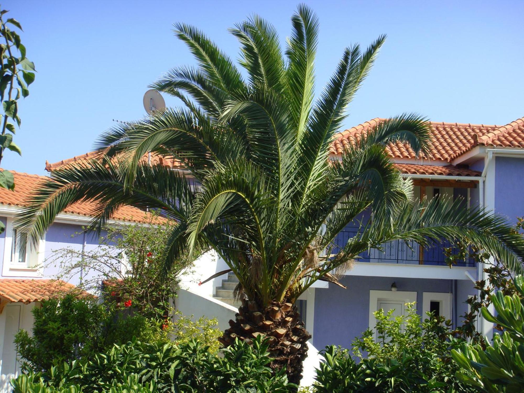 Villa Eliza Skala  Luaran gambar